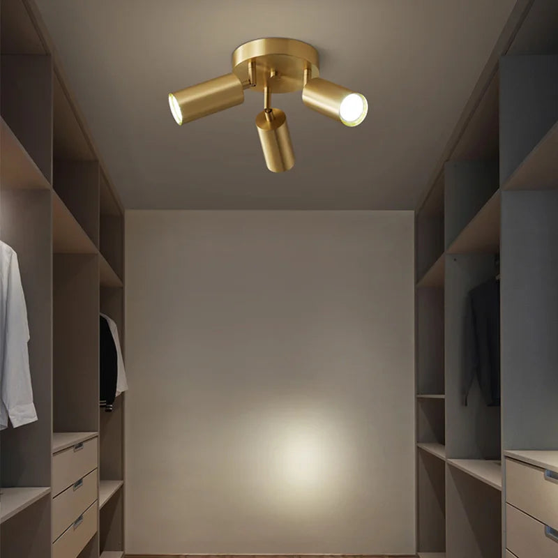 Gold Spotlight