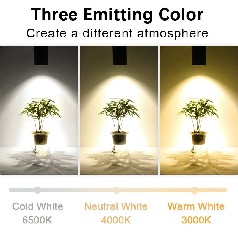 Versatile LED Track Light for Home and Store Lighting
