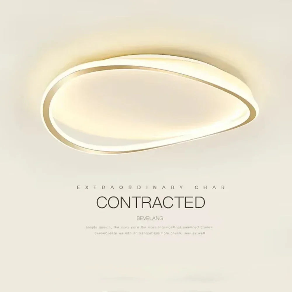 LED Ceiling Light fixtures