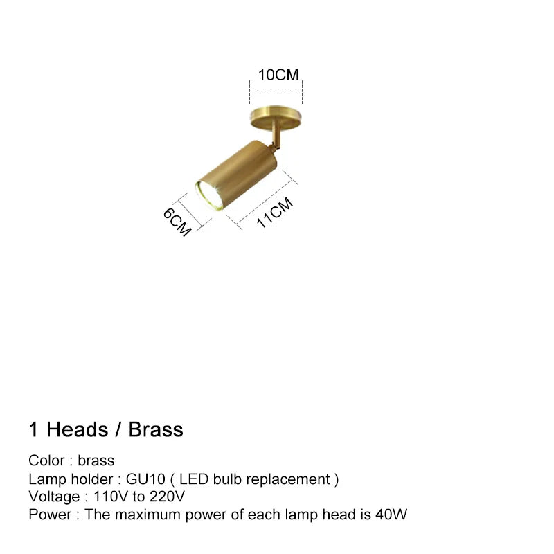https://ae01.alicdn.com/kf/Se2238bccd823498a900478c901656904r/Modern-GU10-LED-Study-Ceiling-Lights-Kitchen-Fixtures-Dining-Room-Background-Decoration-Lampshade-Adjustable-Stairs-Aisle.jpg