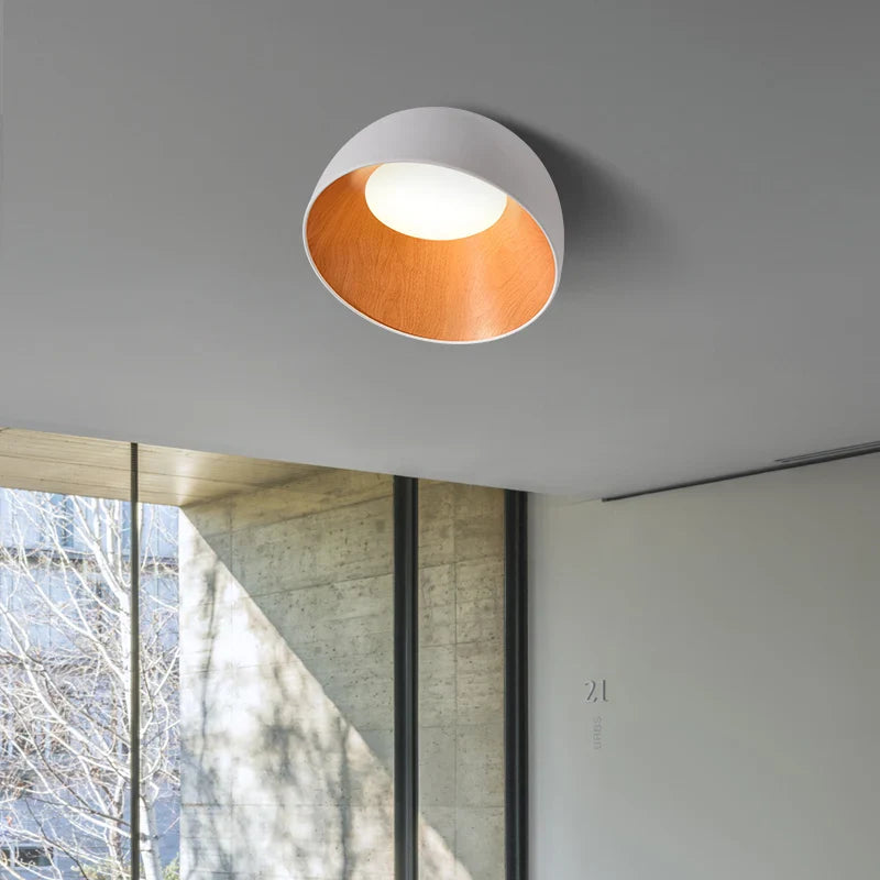 Modern LED Chandelier Light