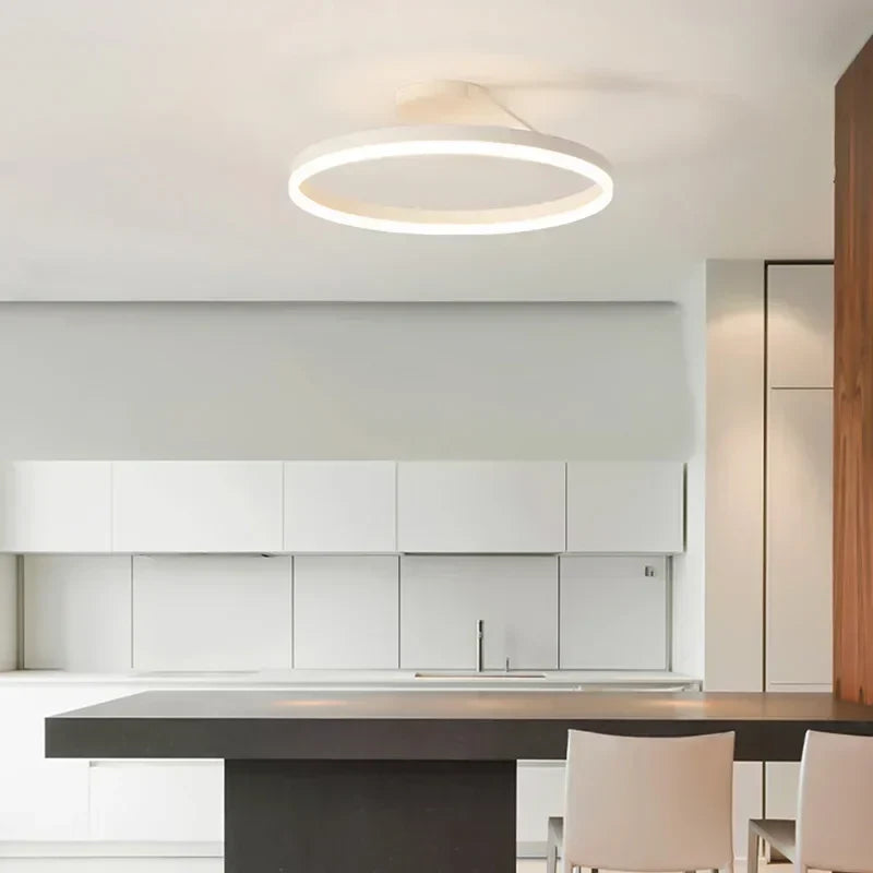 Modern LED Chandelier Lamp