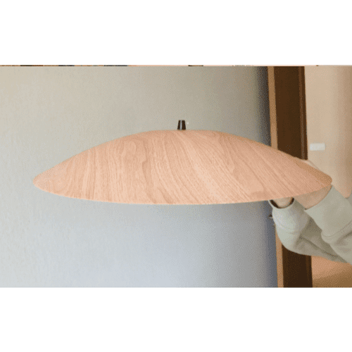 Plafonnier suspendu contemporain